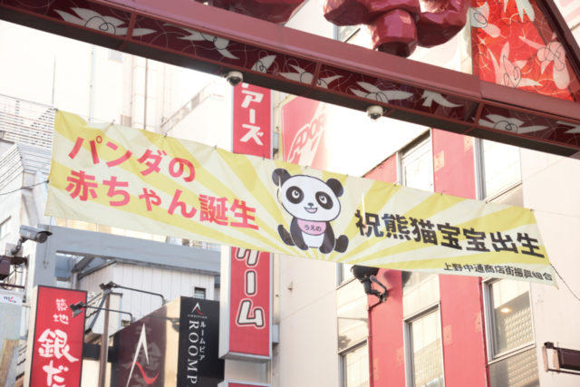 上野動物園のシャンシャンに会いたい!