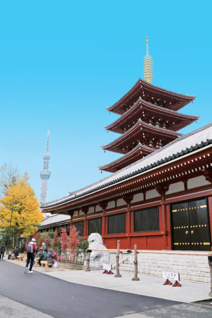 新ハッケン!! 東京スカイツリーとのツーショットを撮影!!