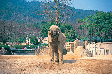 広島市安佐動物公園