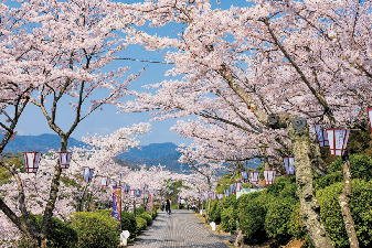 千光寺公園周辺