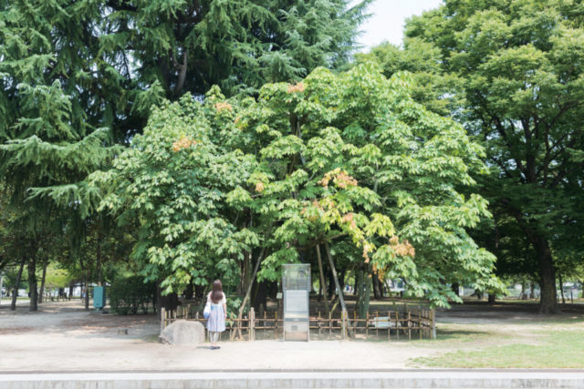 平和記念公園