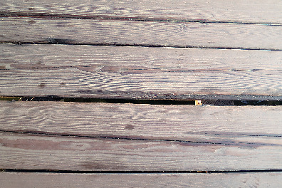 海上社殿だからこその工夫に注目!