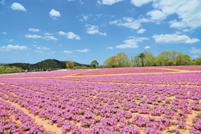 尾道からひと足のばして