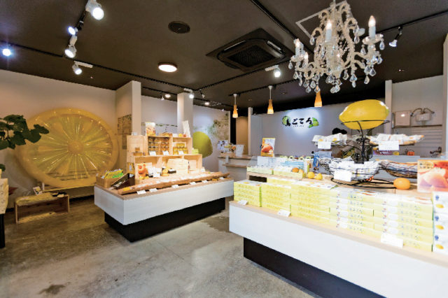 【尾道本通り商店街でお買い物】島ごころSETODA 尾道長江店