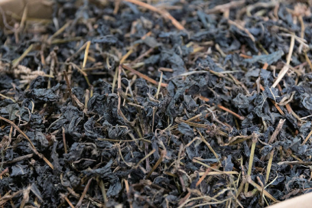 【向島観光】立花テキスタイル研究所