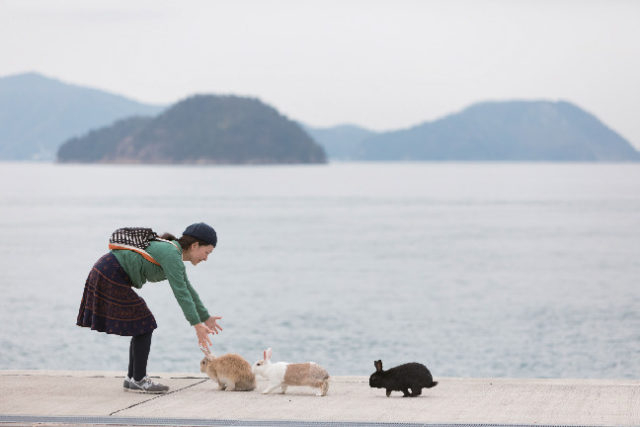 大久野島はこんなところ