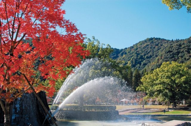 錦帯橋を渡ったら「吉香公園めぐり」をしよう