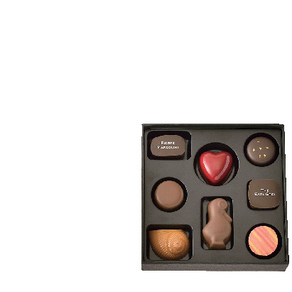 【エキソト2F】PIERRE MARCOLINI