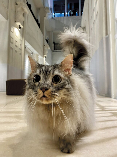 【池袋の遊び&グルメスポット】NAMJATOWN