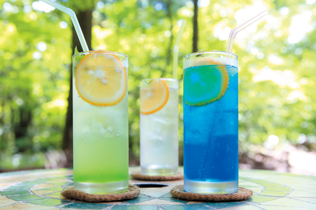 貴重な歴史的建造物で過ごすティータイム「旧軽井沢Cafe 涼の音」