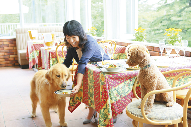 【軽井沢ランチ×フレンチ】ビストロ・プロヴァンス 軽井沢