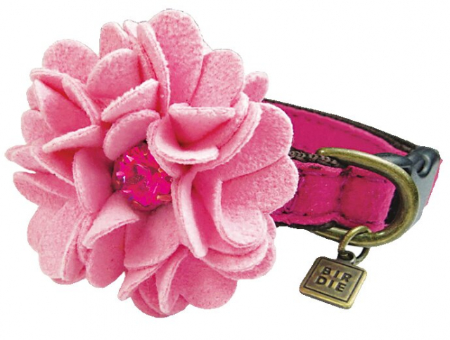 わんこ&にゃんこ好き必見の気になるアイテムがズラリ!「軽井沢BIRDIE DOG Lover's shop + CAT」