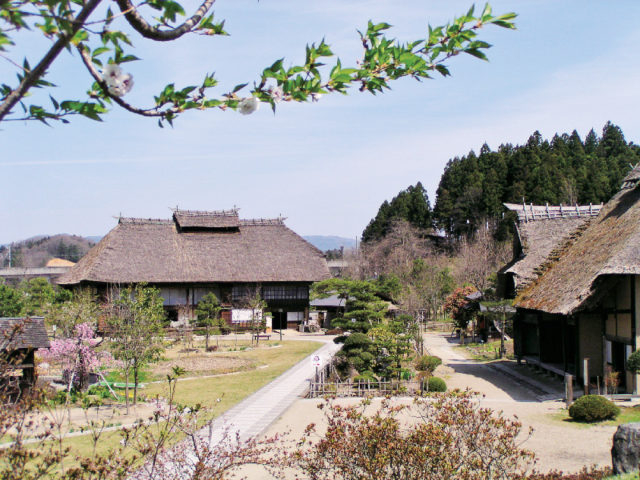 【二本松×観光】大人も子供も楽しめる公園「安達ヶ原ふるさと村」