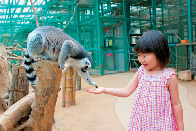 【二本松×観光】野生の王国を探検しよう「東北サファリパーク」