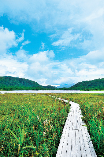 雄国せせらぎ探勝路