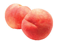 夏の名産品の旬