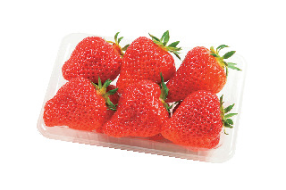 春の名産品の旬