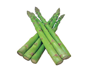 春の名産品の旬