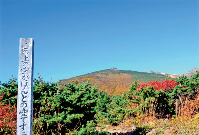 薬師岳パノラマパーク