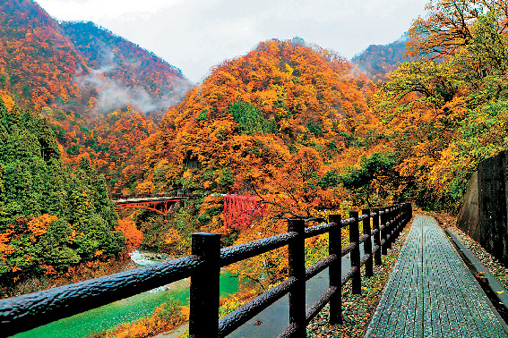 やまびこ遊歩道