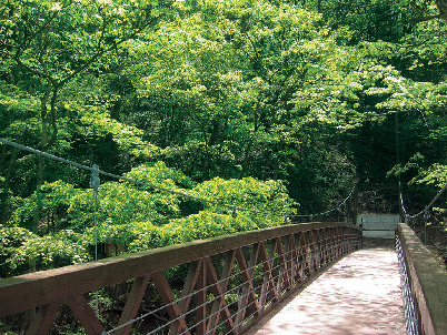 ➁旧碓氷峠遊覧歩道
