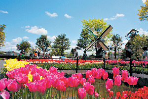 五箇山・白川郷・砺波・城端・井波
