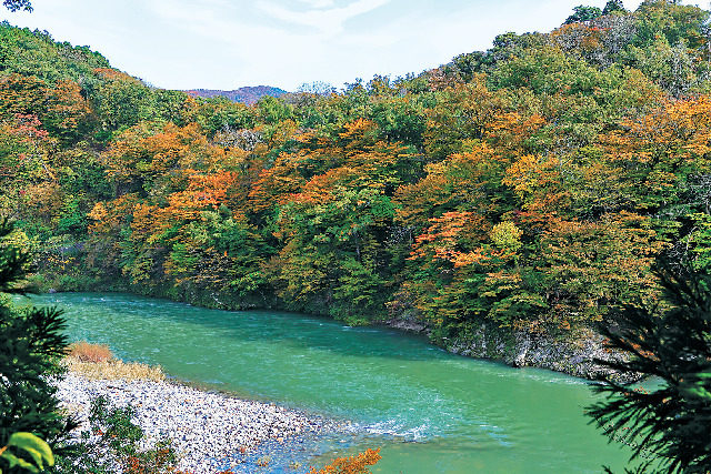 【新潟×絶景③】鷹の巣遊歩道
