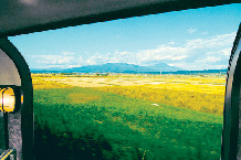 土・日曜、祝日中心に1日1往復