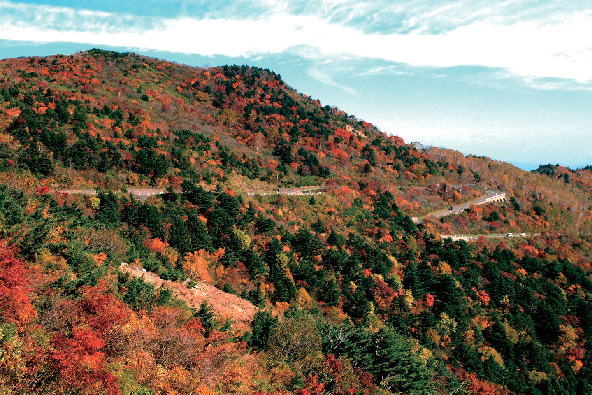 【磐梯高原絶景ドライブ×磐梯吾妻スカイライン】自然が作り出すアートな情景「天狗の庭」