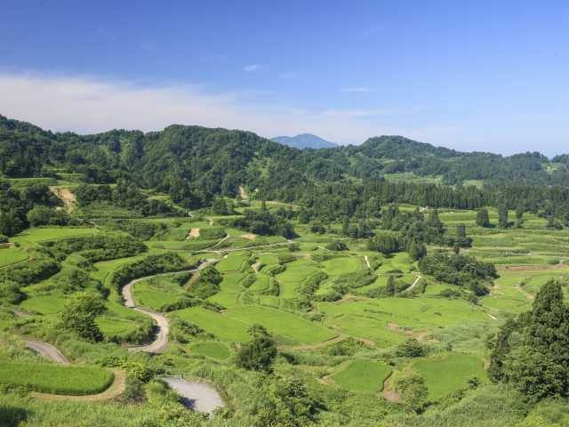 【新潟×絶景①】星峠の棚田