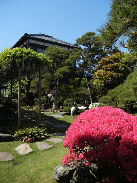 ①旧小澤家住宅