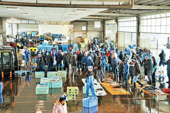 【富山×漁港メシ】氷見漁港