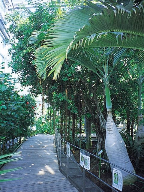 氷見市海浜植物園
