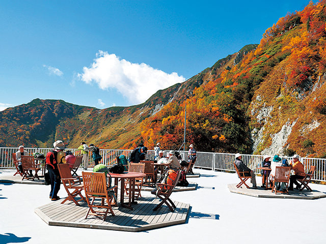 【立山黒部アルペンルート×秋の絶景】大観峰の紅葉