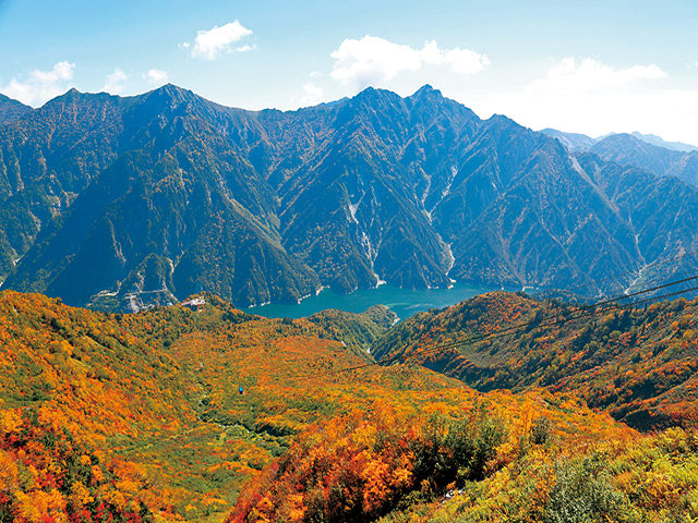 【立山黒部アルペンルート×秋の絶景】大観峰の紅葉