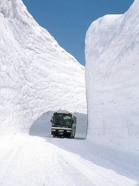 【立山黒部アルペンルート×春の絶景】雪の大谷ウォーク
