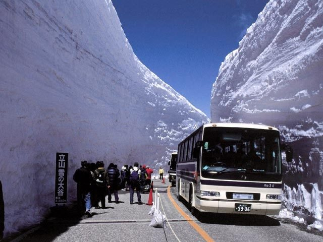 【立山黒部アルペンルート×春の絶景】雪の大谷ウォーク