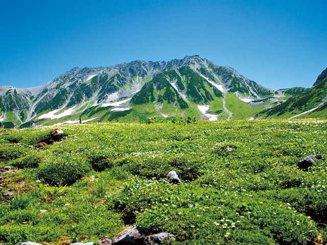 【立山黒部アルペンルート×夏の絶景】室堂平