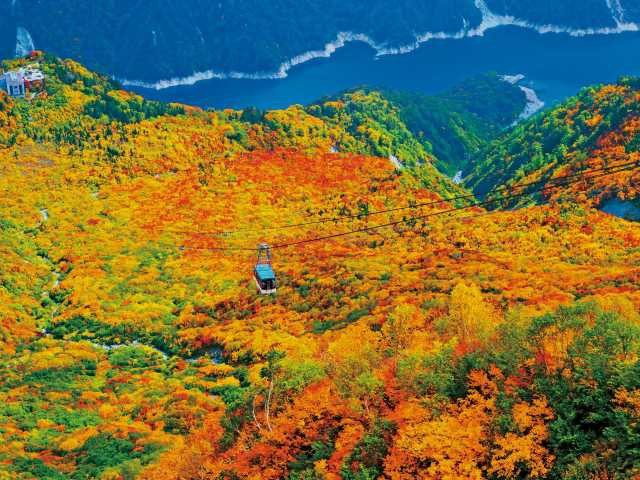 【立山黒部アルペンルート×秋の絶景】タンボ平と立山ロープウェイ