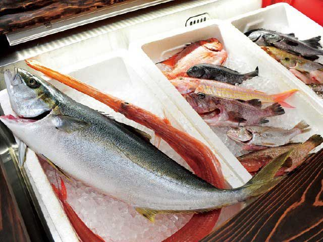 地酒と肴を堪能し〆には旨いにぎり寿司「酒菜家おあじ 富山駅前店」