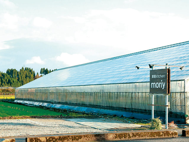 農園kitchen moriy