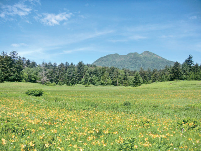 尾瀬沼・大江湿原トレッキング