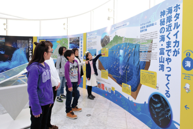 見どころ② ミュージアムギャラリー