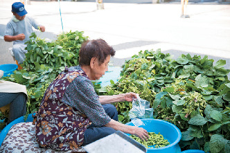 日和山〜旭町ってこんなところ