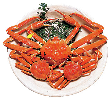 【富山×春の見どころ】4月