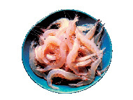 【富山×春の見どころ】5月