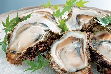 【富山×春の見どころ】5月