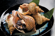 【富山×冬の見どころ】12月