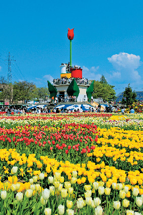 【富山×春の見どころ】4月