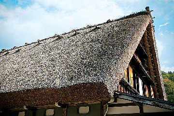 建物の内部をチェック!